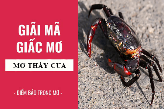 Cua
