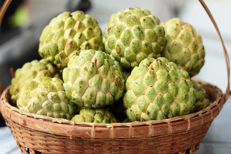 Mơ Thấy Quả Na