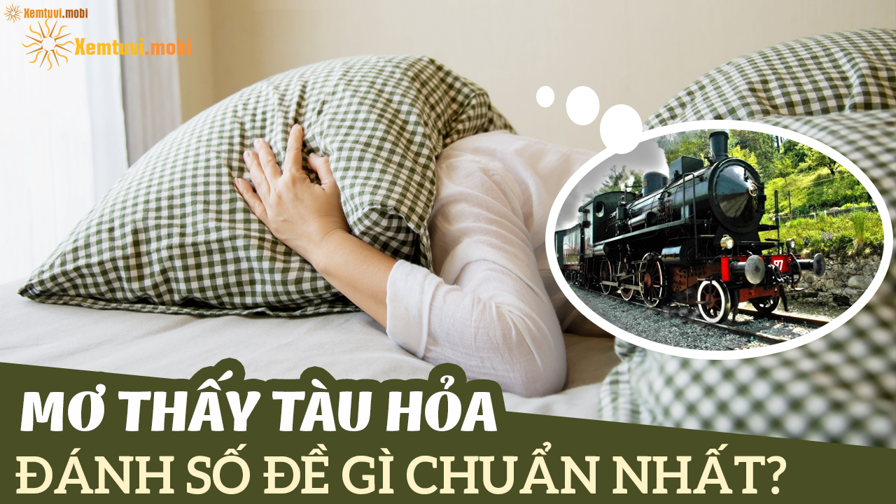 Ngồi trên tàu hỏa nhìn ra bên ngoài